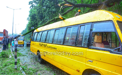 schoolbus