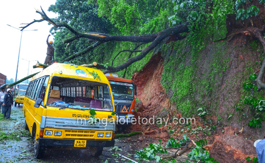 schoolbus