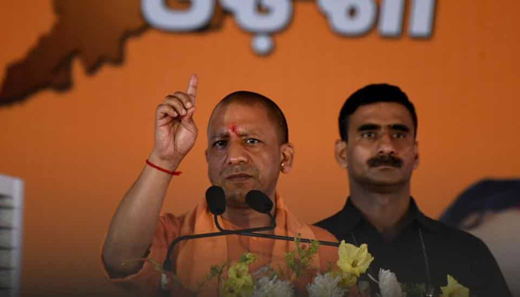 yogi20feb19