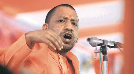 yogi25jan19