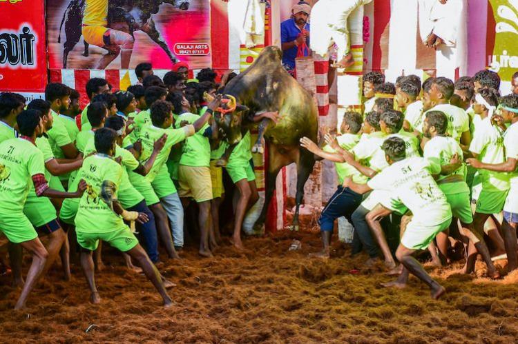 jallikattu18ja.