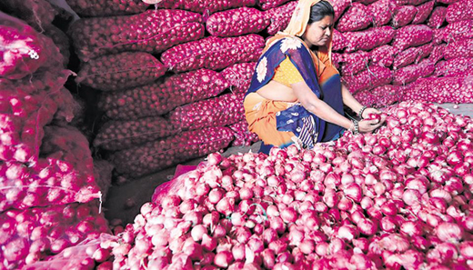 onions18jan20