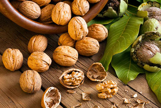 walnuts2jul19