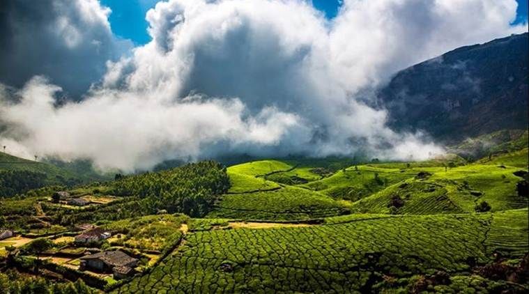 Munnar-1