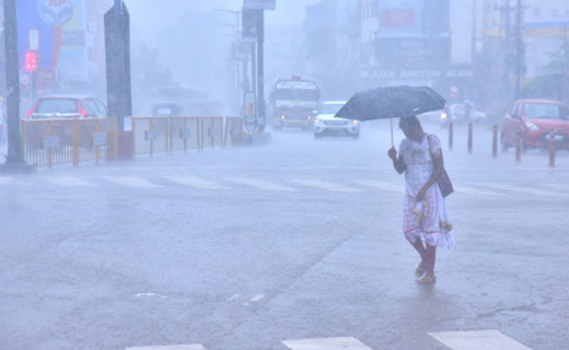 Rain1