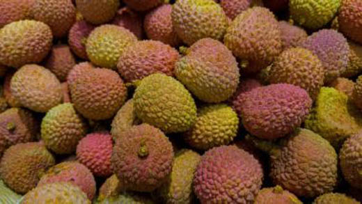 litchi21jun19