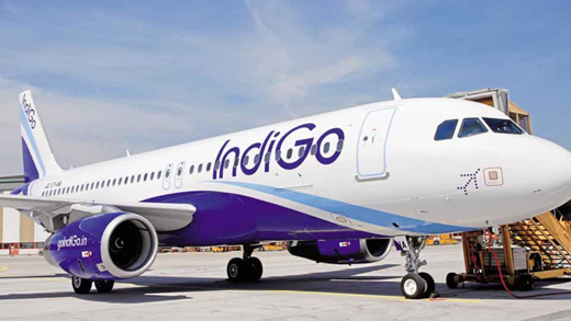 indigo6mar19