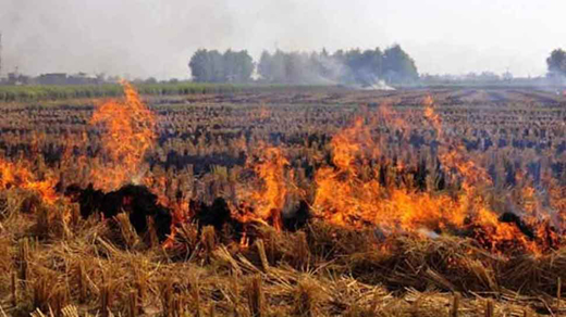 burn14nov19