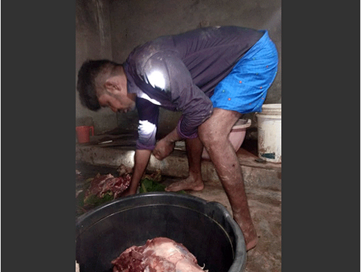 cow-slaughteri...
