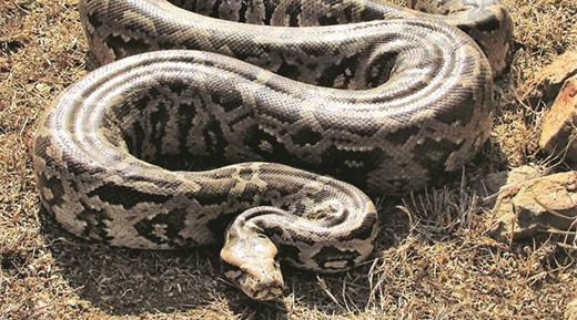 python19oct19.jpg