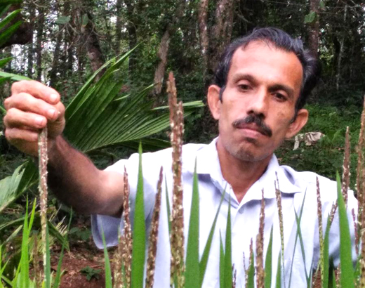 Satyanarayana Beleri