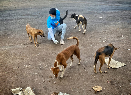 Mangalore Today | Latest main news of mangalore, udupi - Page Activists-care -for-starving-street-animals Mangalore Today | Latest main news of mangalore, udupi - Page Activists-care -for-starving-street-animals