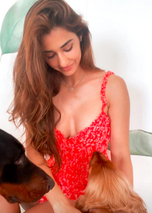 Disha-Patani27