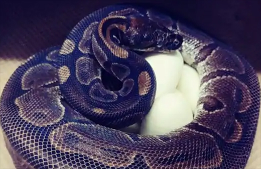 Python11sep2020