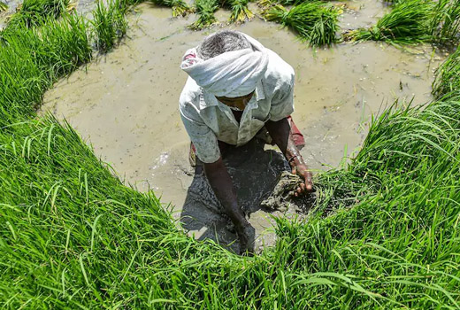 farmer9sep20