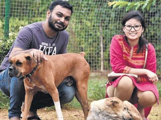 Couple Ties Knot 500 Stray Animals Get Wedding Treat