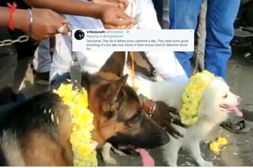 Dogs-married14feb2020