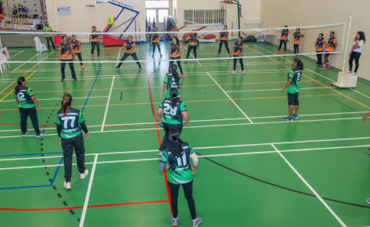 TPL-tournament