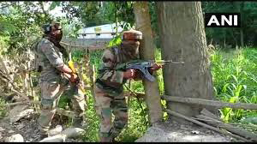 Terrorists22feb2020