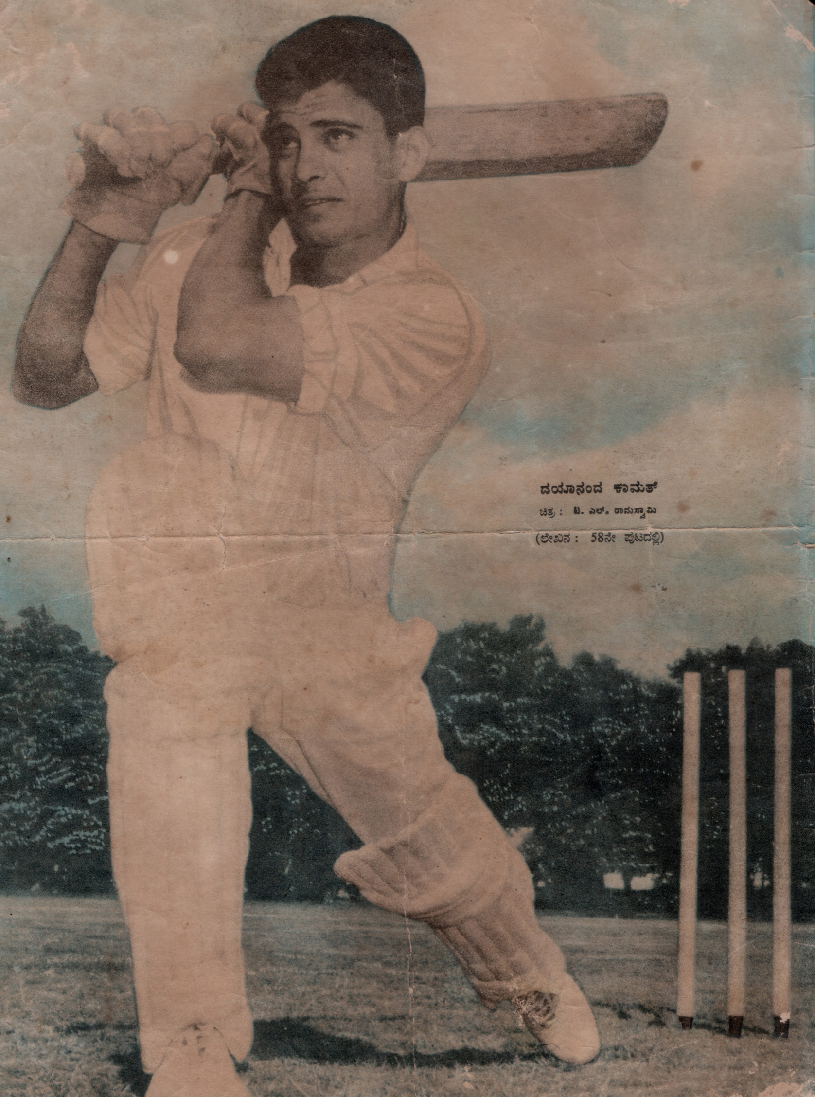 cricket