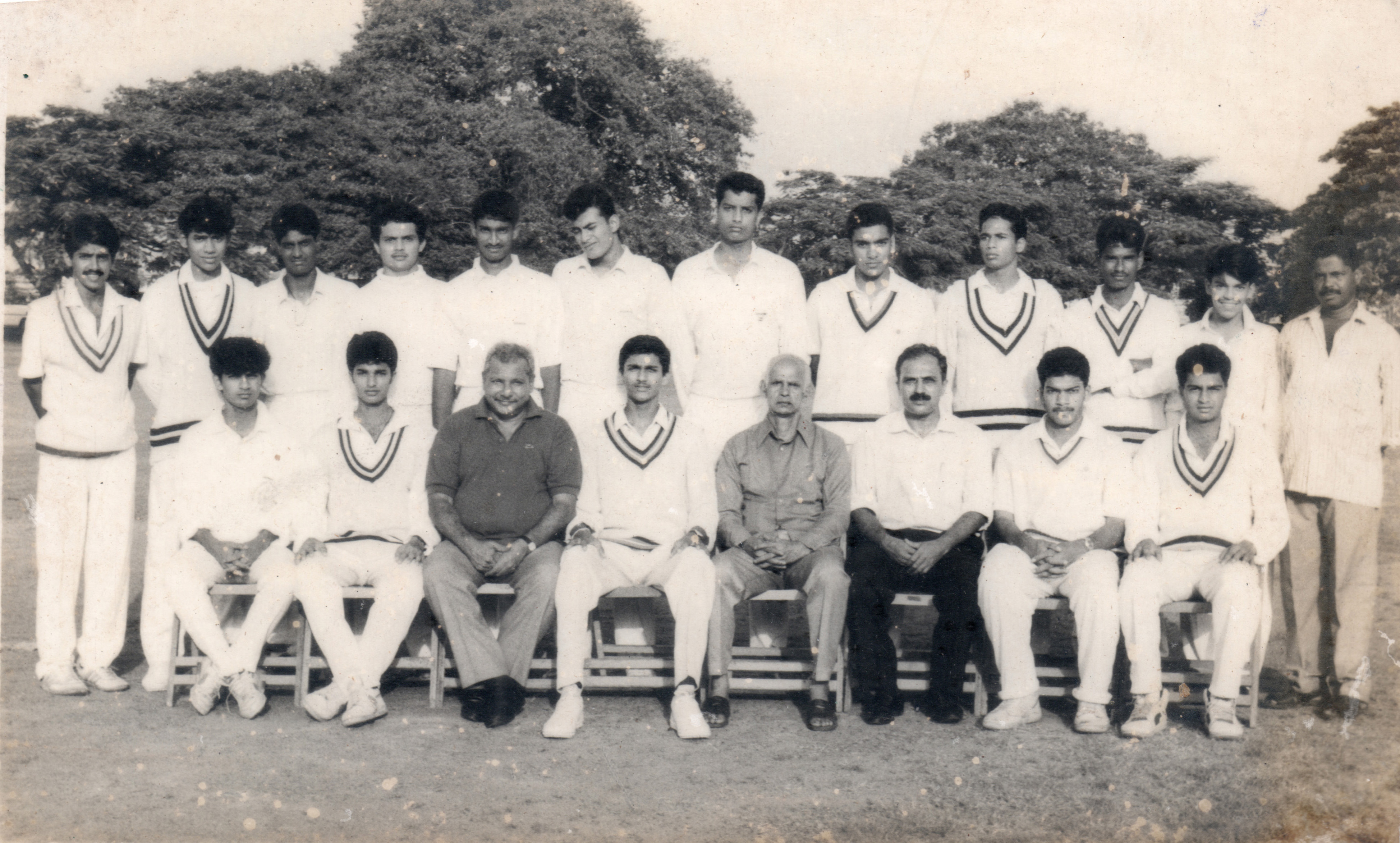 cricket