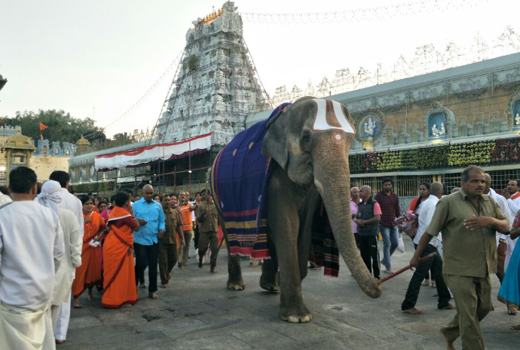 tirumala20feb2.