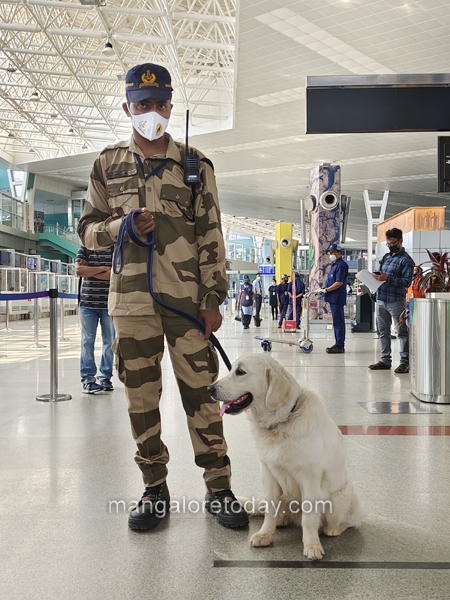 Mangalore Today | Latest main news of mangalore, udupi - Page Dog-Squad ...