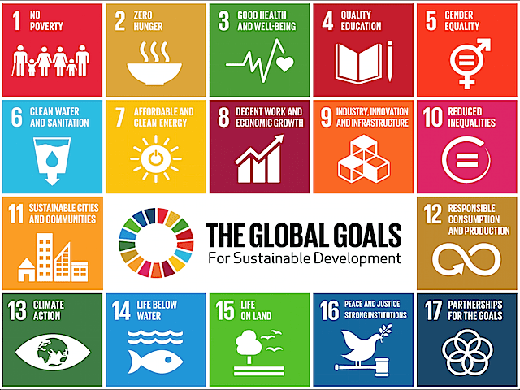 Sustainable goals