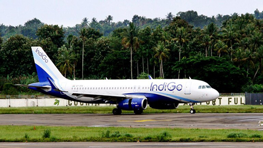 Indigo