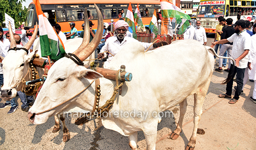 Congress protest