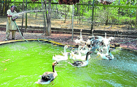 Pilikula14march2020
