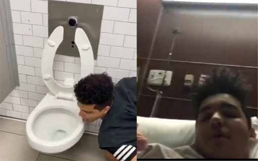 lick-toilet-co...
