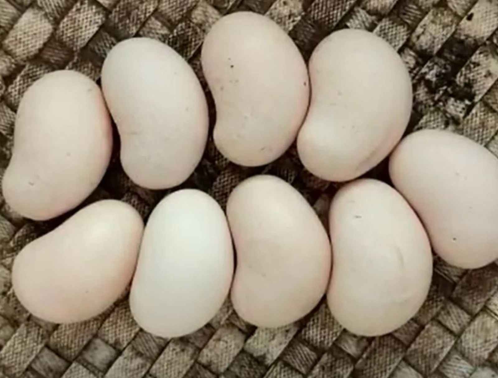 Cashew-eggs