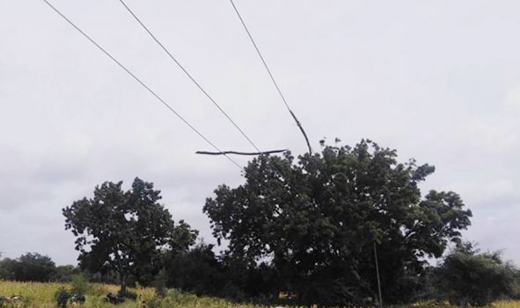 Electrocuted