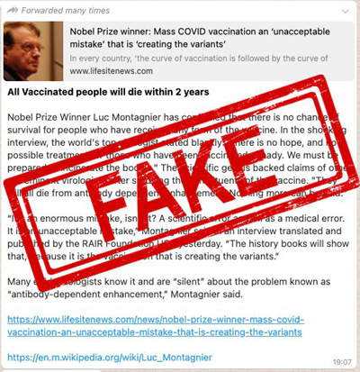 Fake