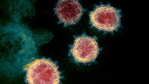 coronavirus05may2020