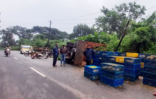 Poultry lorry overturns