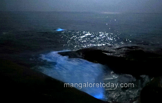 someshwar-beach