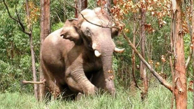 Arikomban