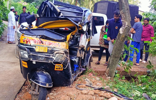 auto rams into electric pole