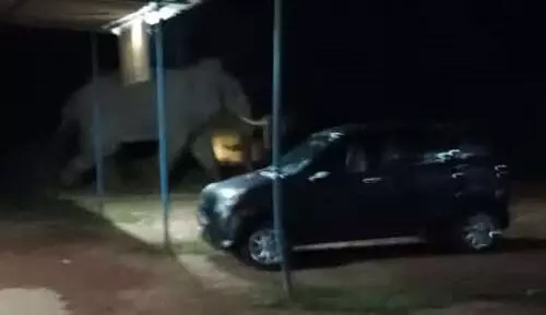 Kakkinje