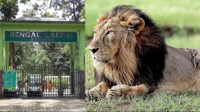 Akbar