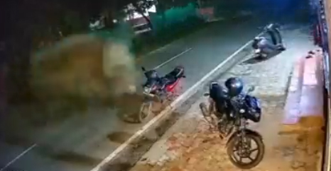 Elephant turns traffic cop, kicks motorcycle parked on road in viral