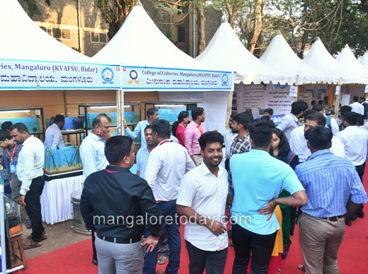 Mangalore Today | Latest main news of mangalore, udupi - Page Fish ...