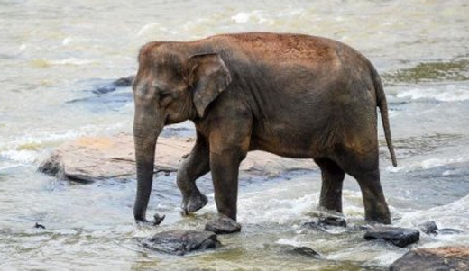 Mangalore Today | Latest main news of mangalore, udupi - Page Man ...