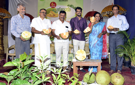 Halasu Mela mangalore