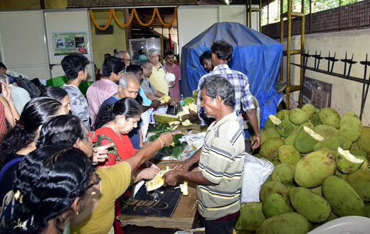 Halasu Mela mangalore