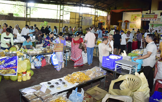 Halasu Mela mangalore