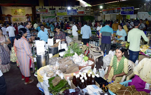 Halasu Mela mangalore