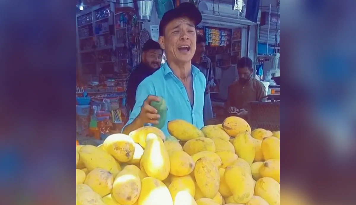 Mango